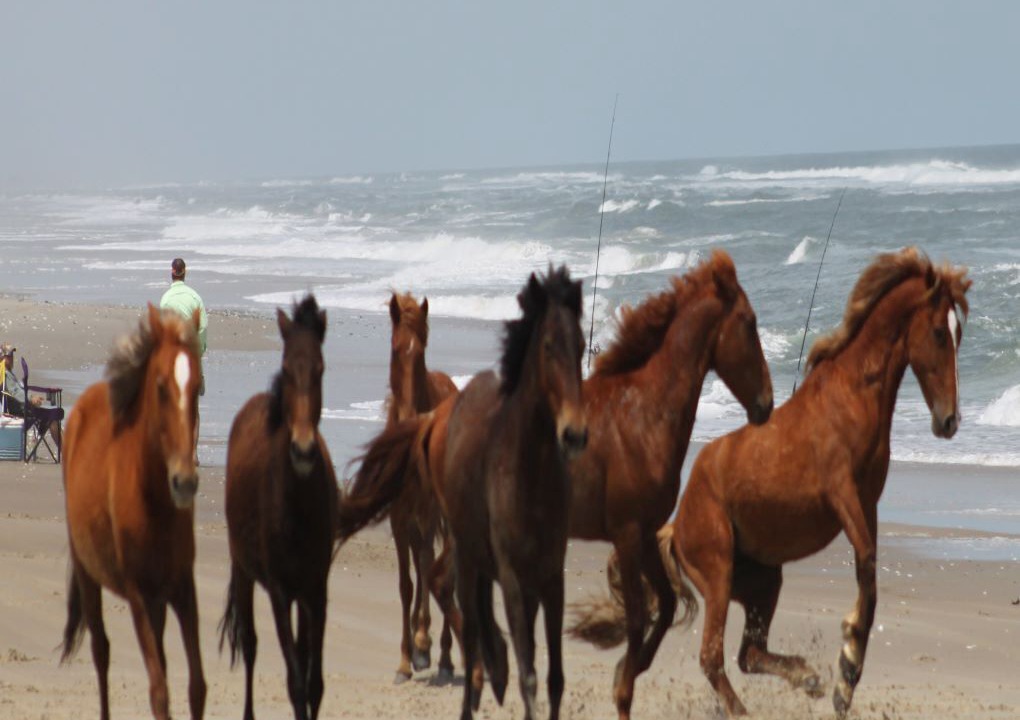 Photo of Others in Ocean Sands