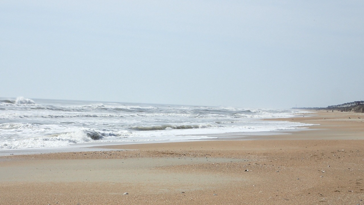 Photo of Others in Ocean Sands