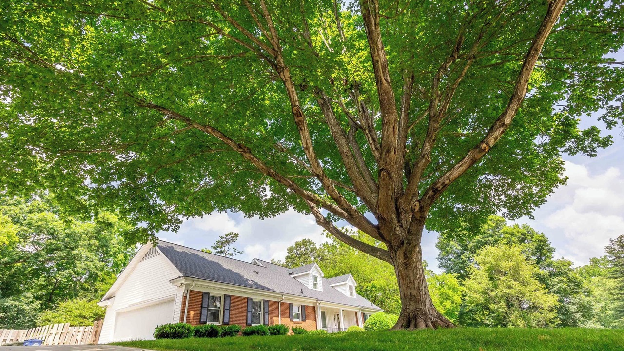 Photo of Outdoor in Jamestown
