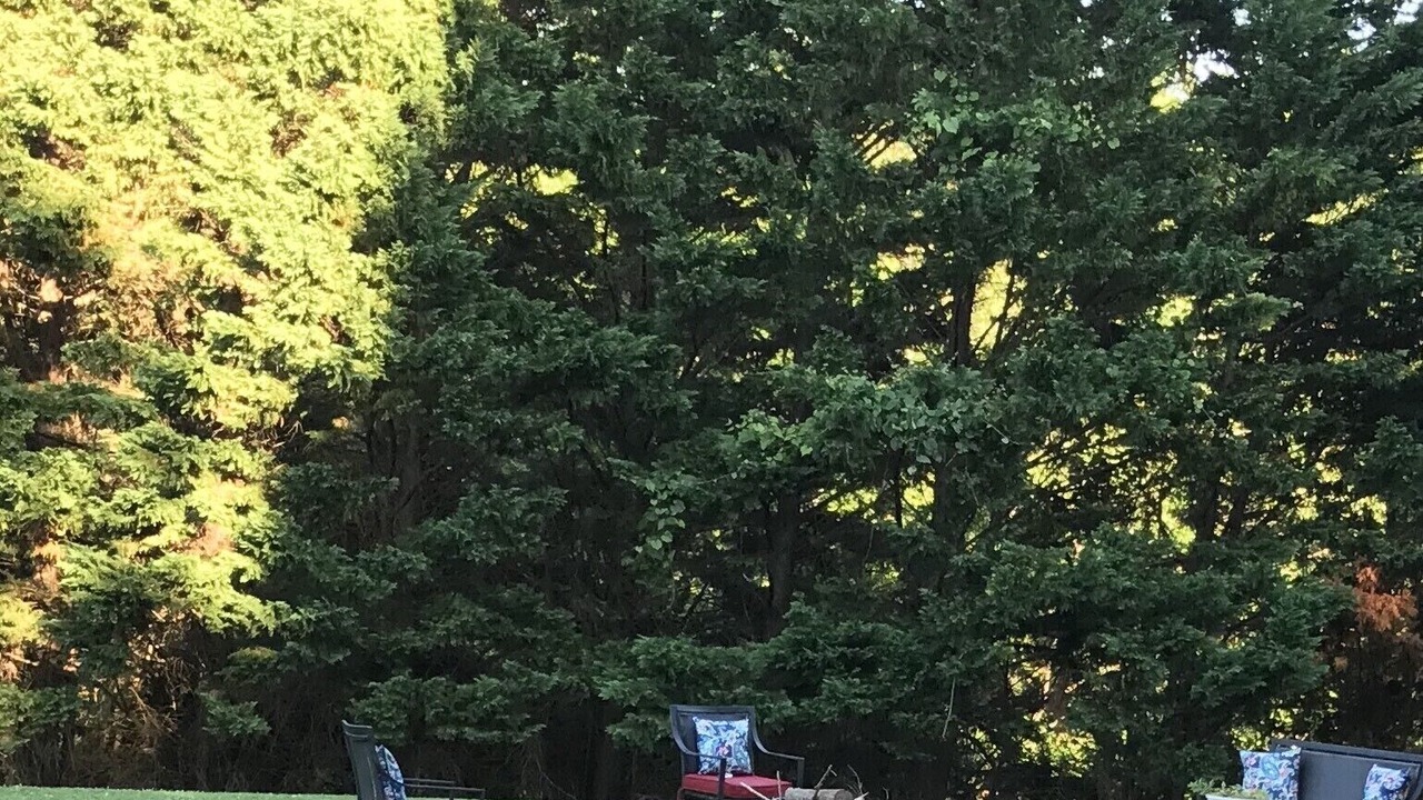 Photo of Others in Hickory
