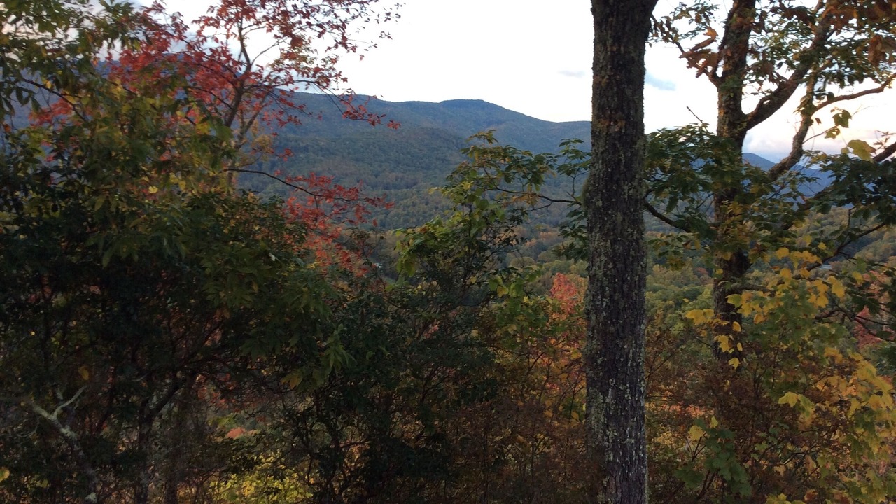 Photo of Others in Balsam
