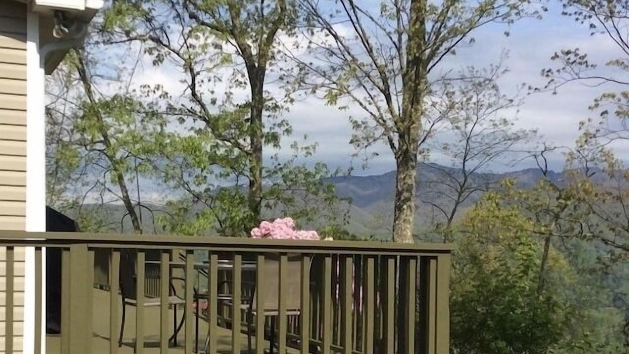 Photo of Others in Balsam