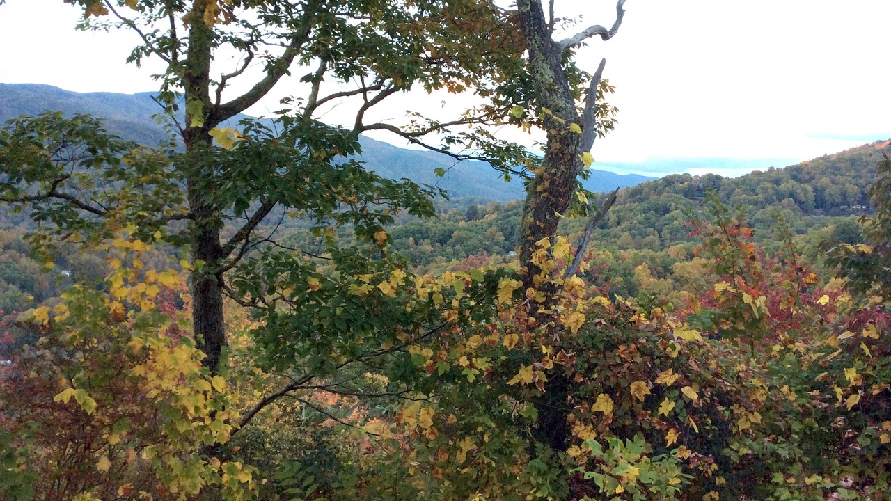 Photo of Outdoor in Balsam