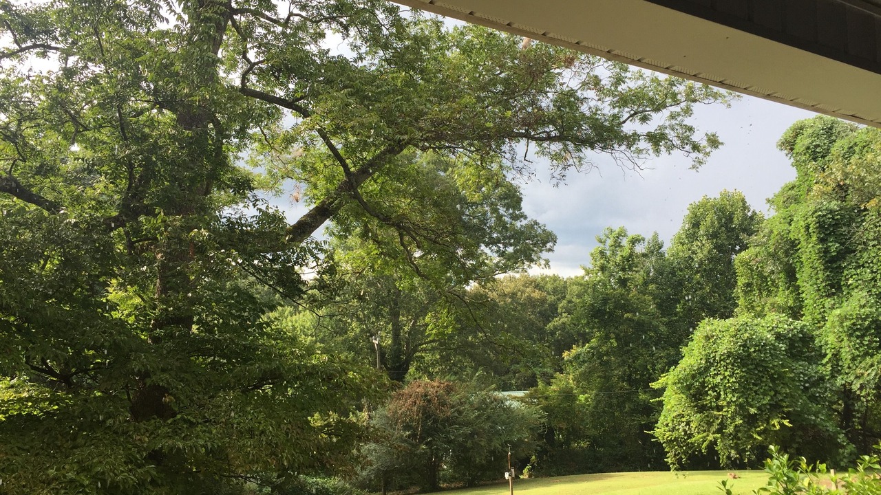 Photo of Outdoor in Lynn