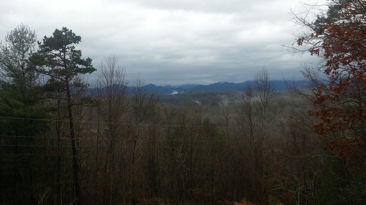 Photo of Outdoor in Murphy