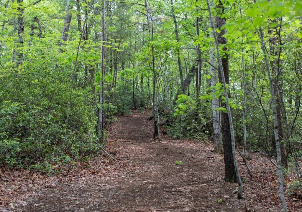 Photo of Outdoor in Lake Lure