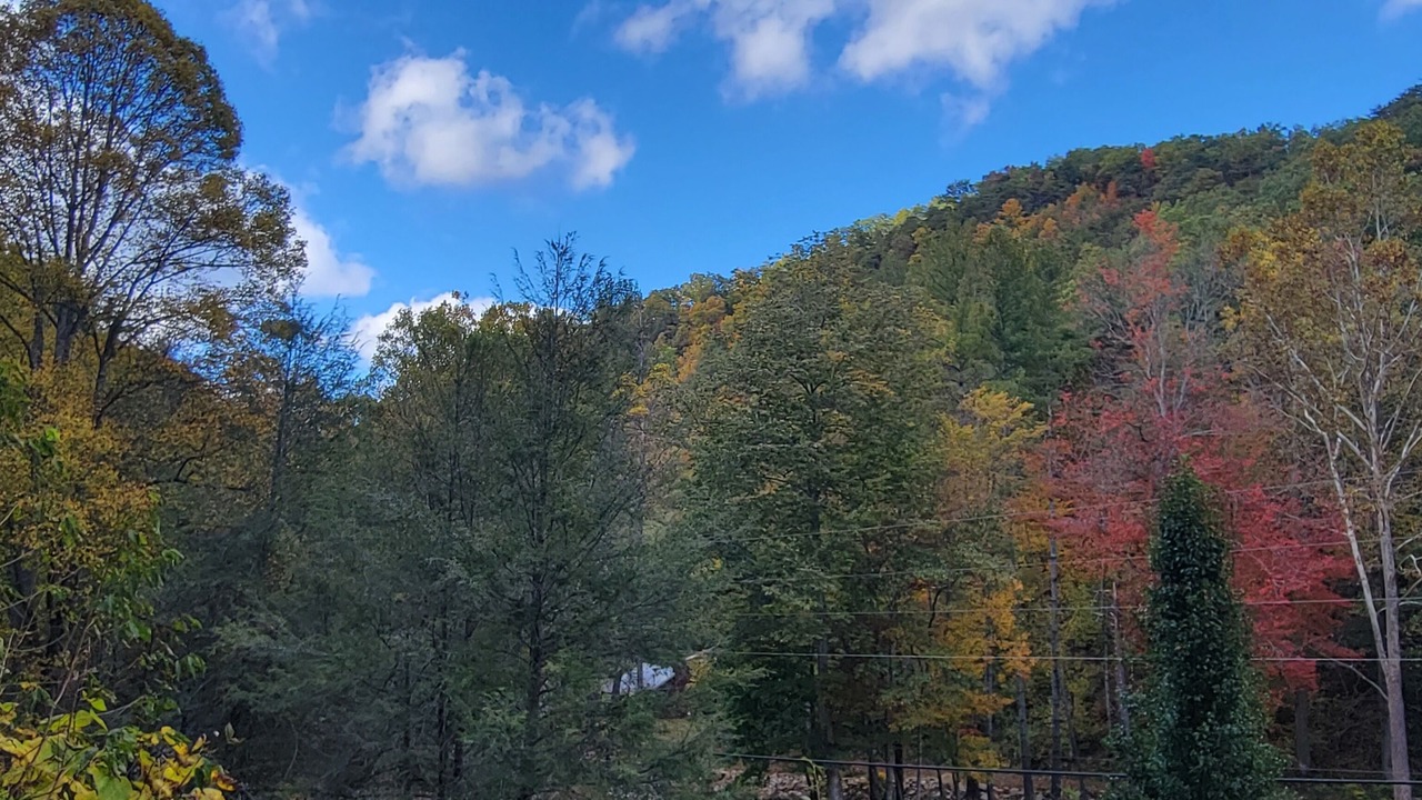 Photo of Outdoor in Canton