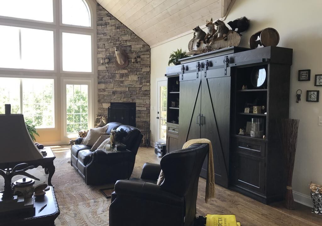Photo of Livingroom in Flat Rock