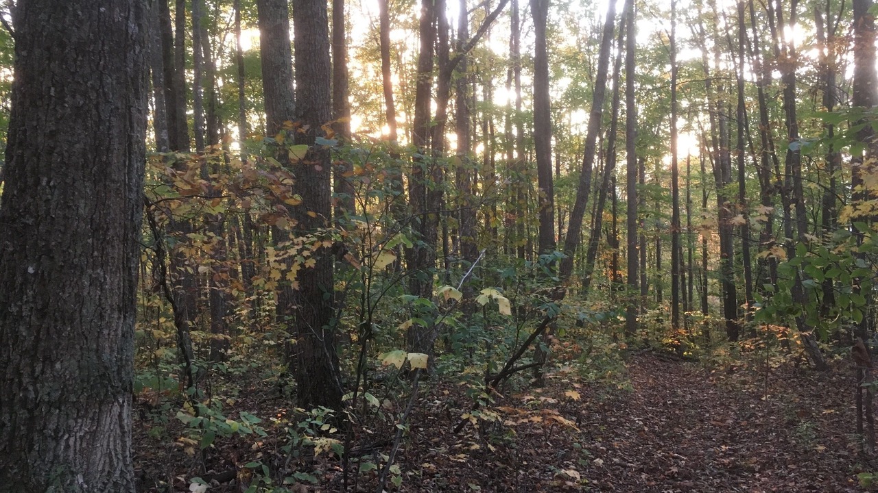 Photo of Outdoor in Creston