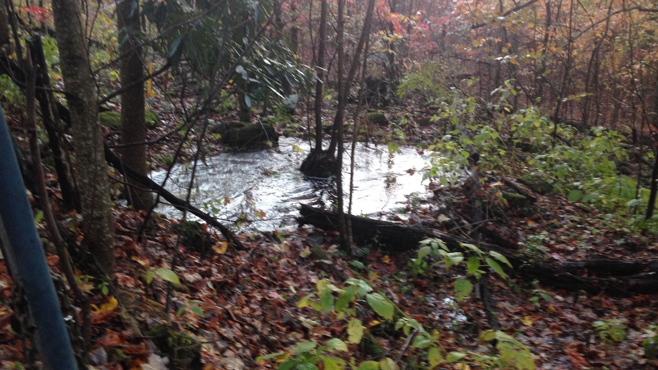 Photo of Others in Creston