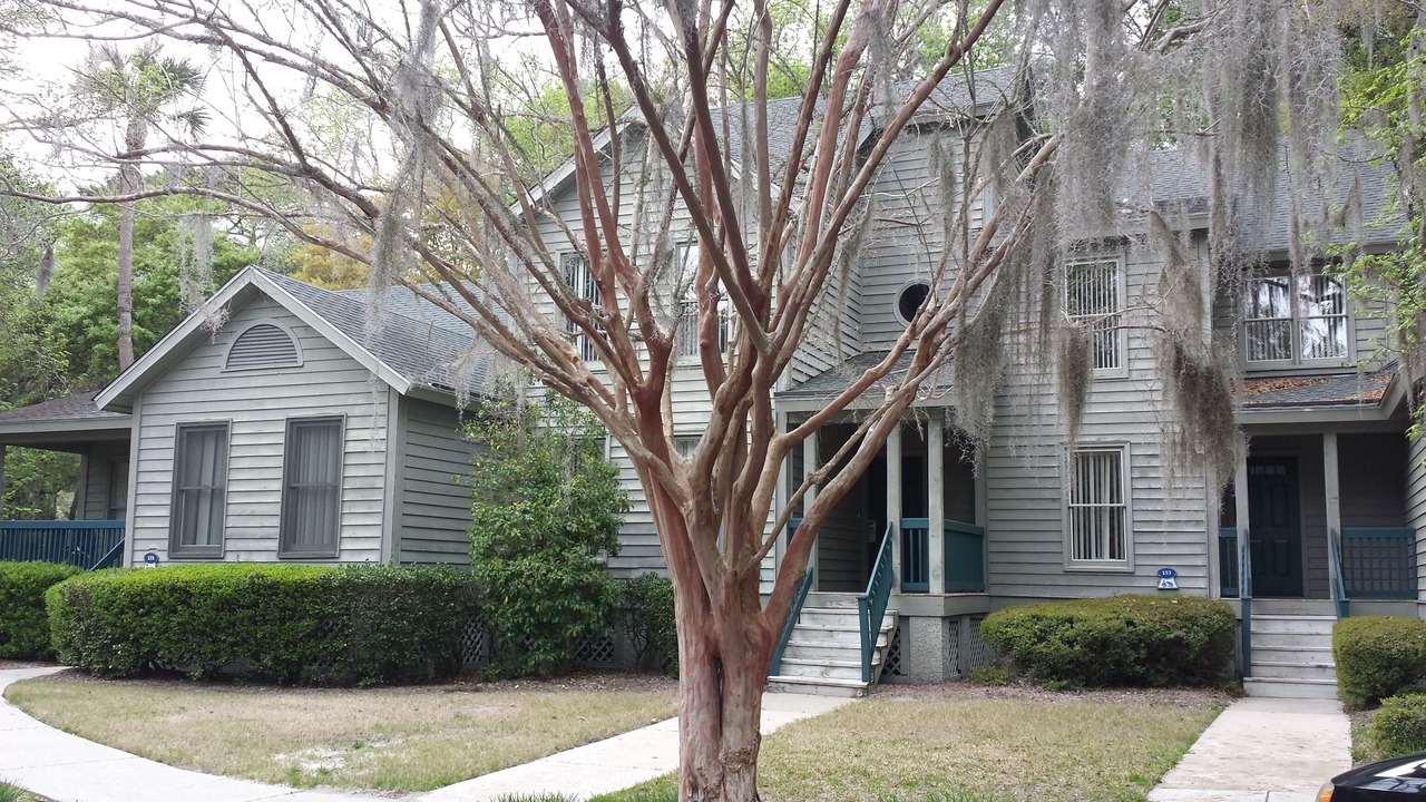 Photo of Others in Shipyard Plantation