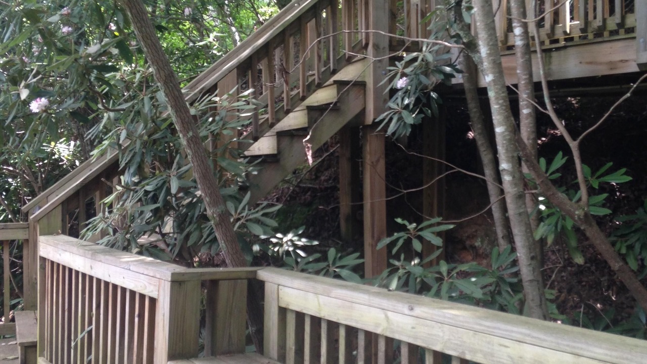 Photo of Outdoor in The Arbor