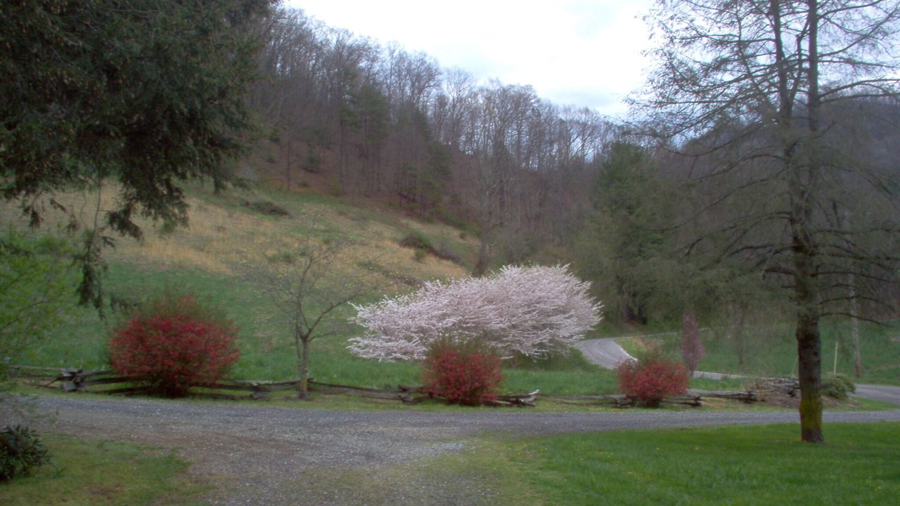Photo of Others in Waynesville
