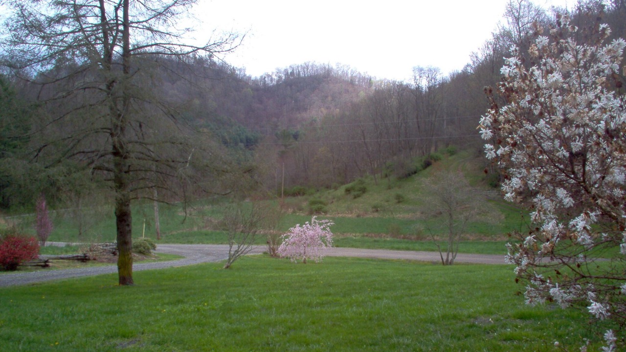 Photo of Others in Waynesville