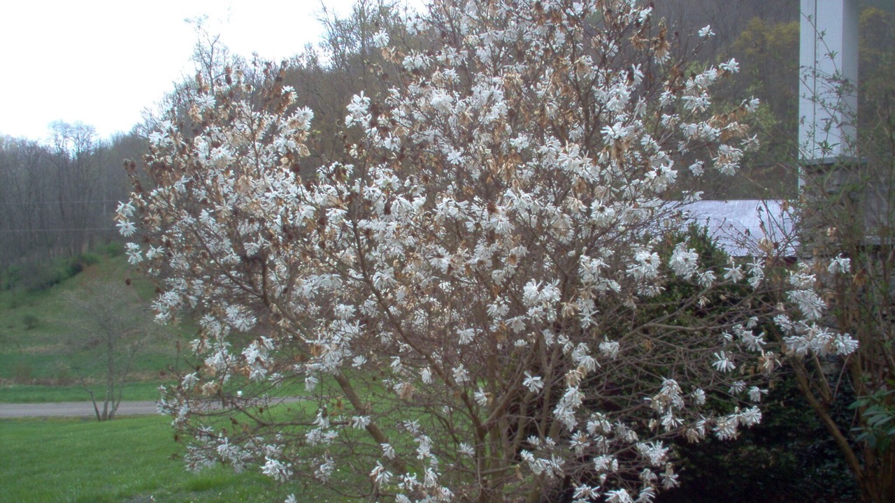 Photo of Outdoor in Waynesville