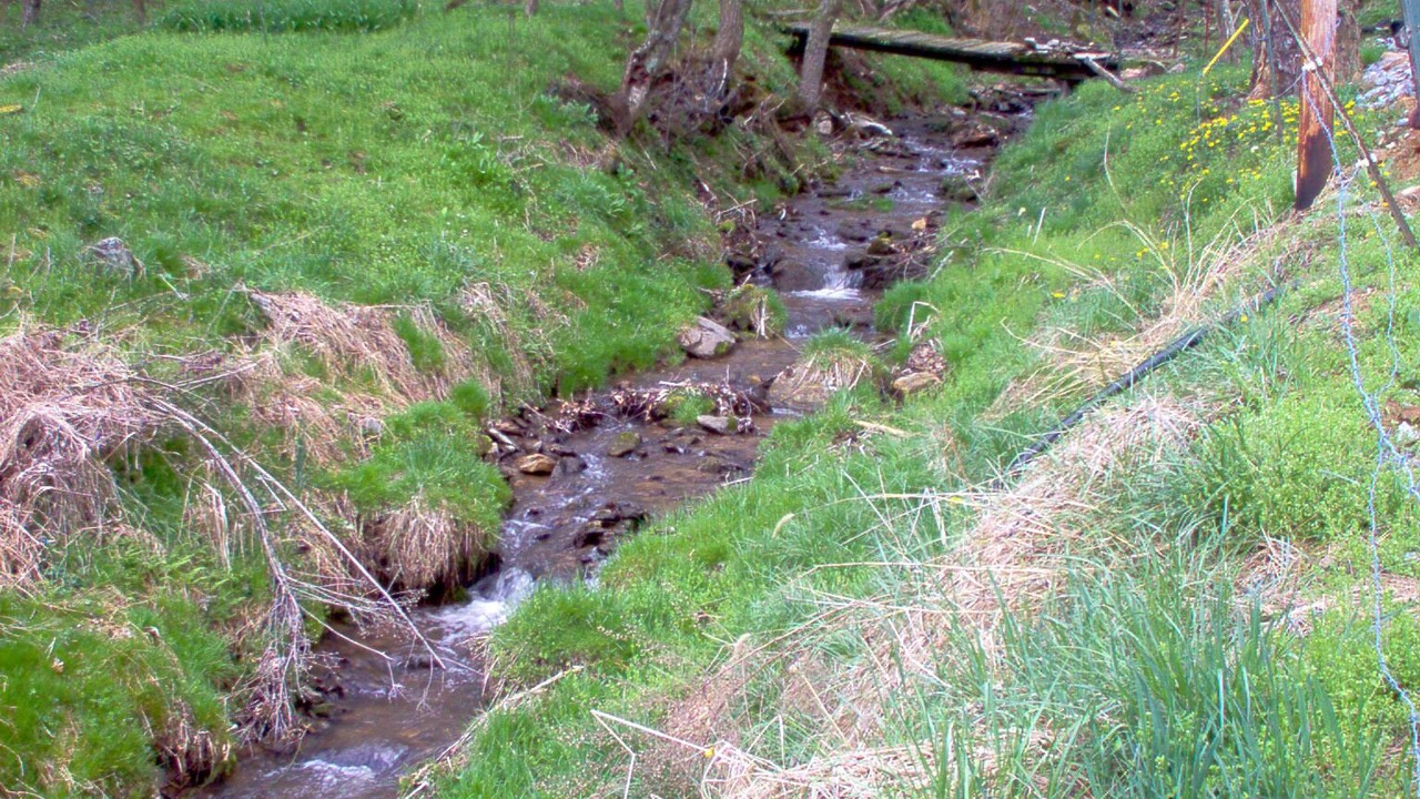 Photo of Others in Waynesville