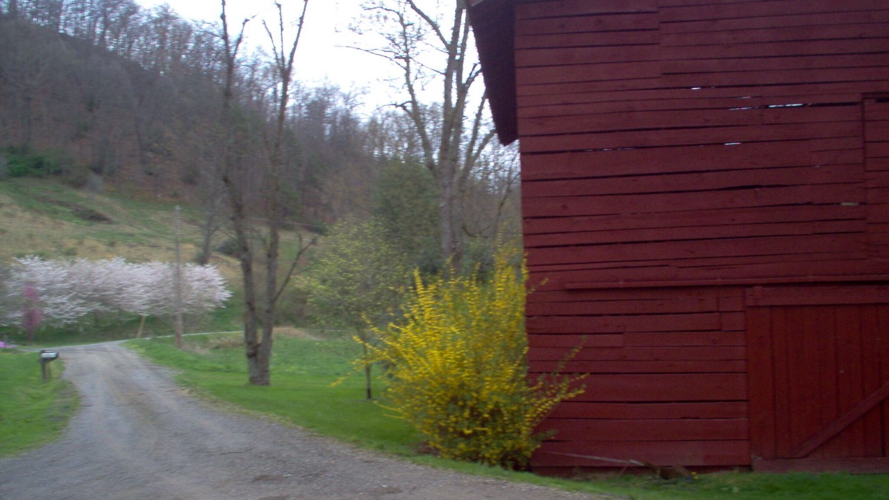 Photo of Others in Waynesville