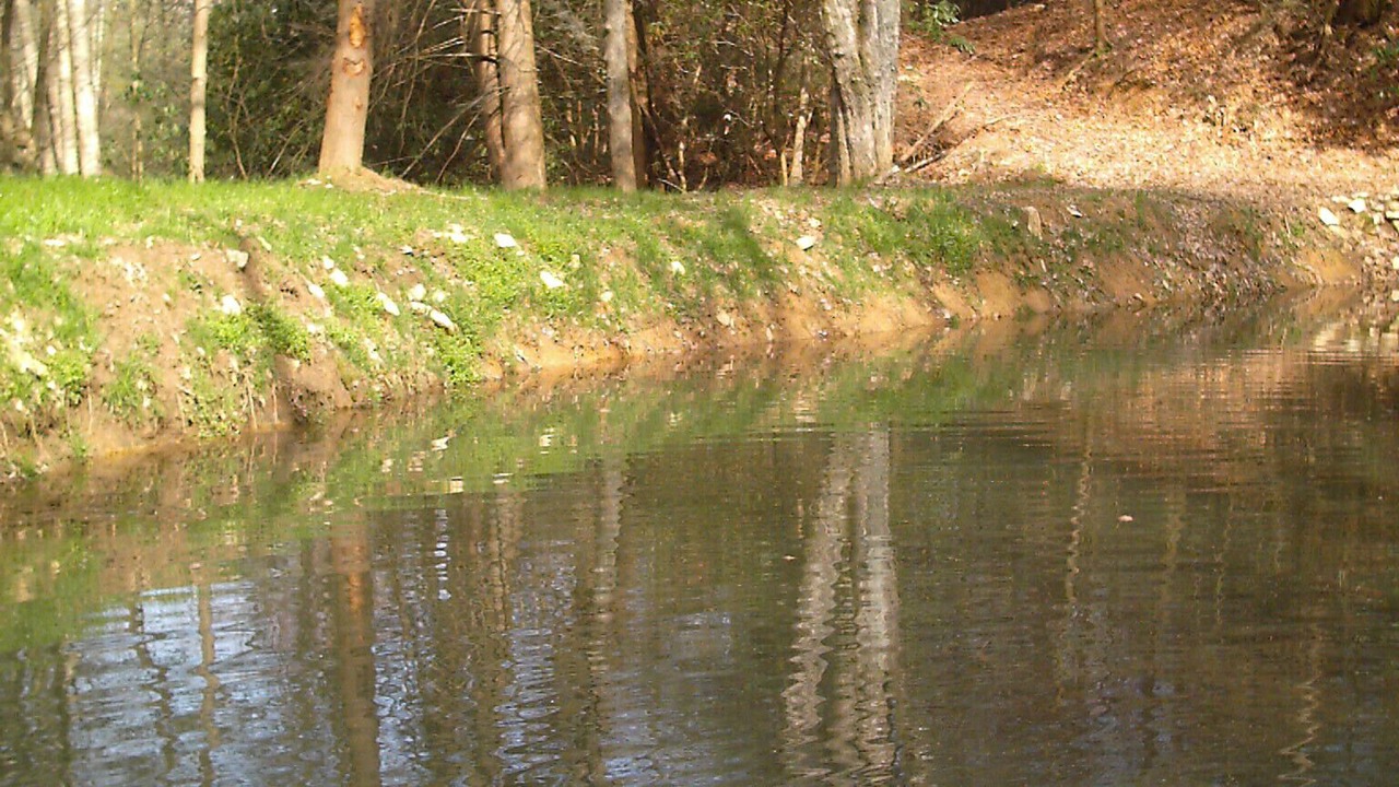 Photo of Others in Waynesville