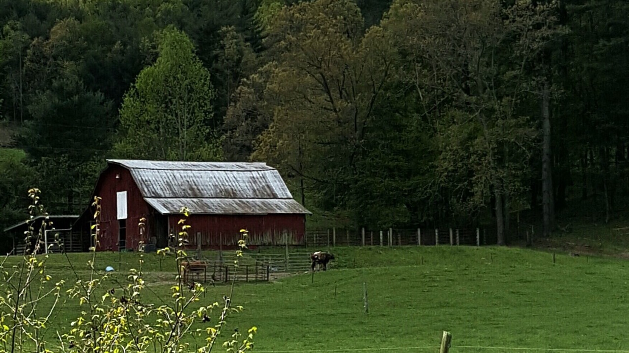 Photo of Outdoor in Penrose