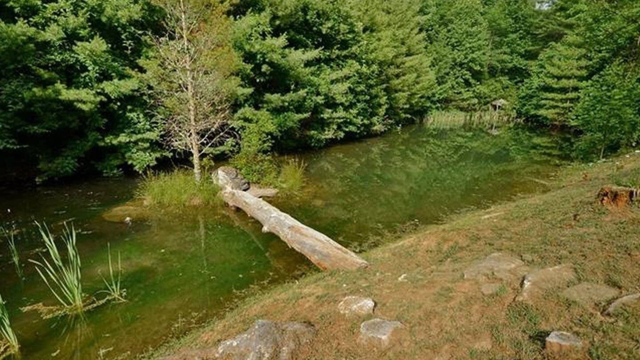 Photo of Outdoor in Cullowhee
