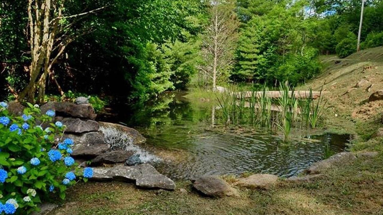 Photo of Outdoor in Cullowhee