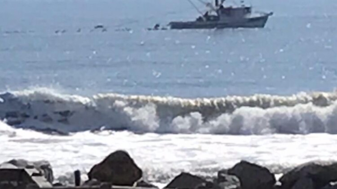 Photo of Others in North Carolina Coast