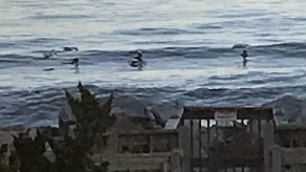 Photo of Others in North Carolina Coast