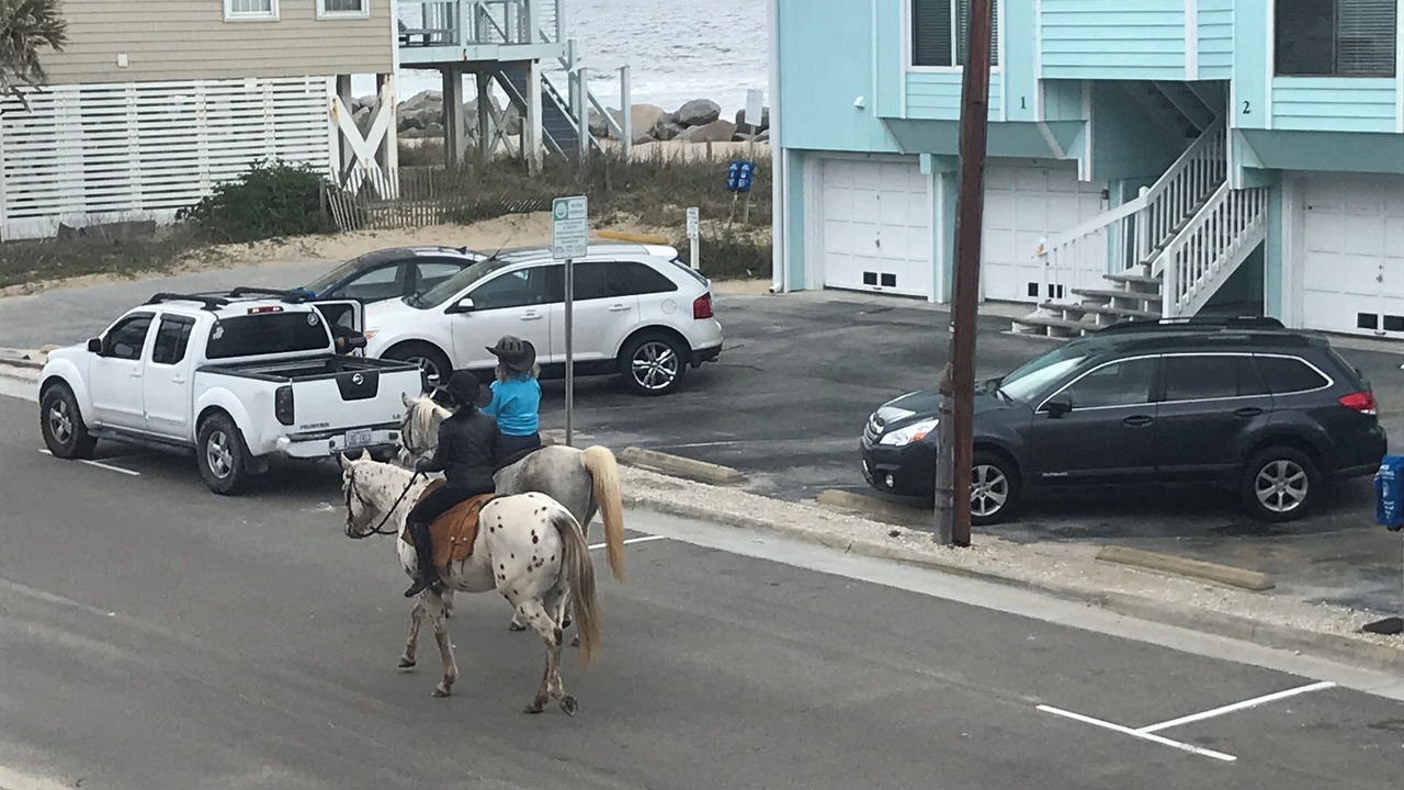Photo of Others in North Carolina Coast