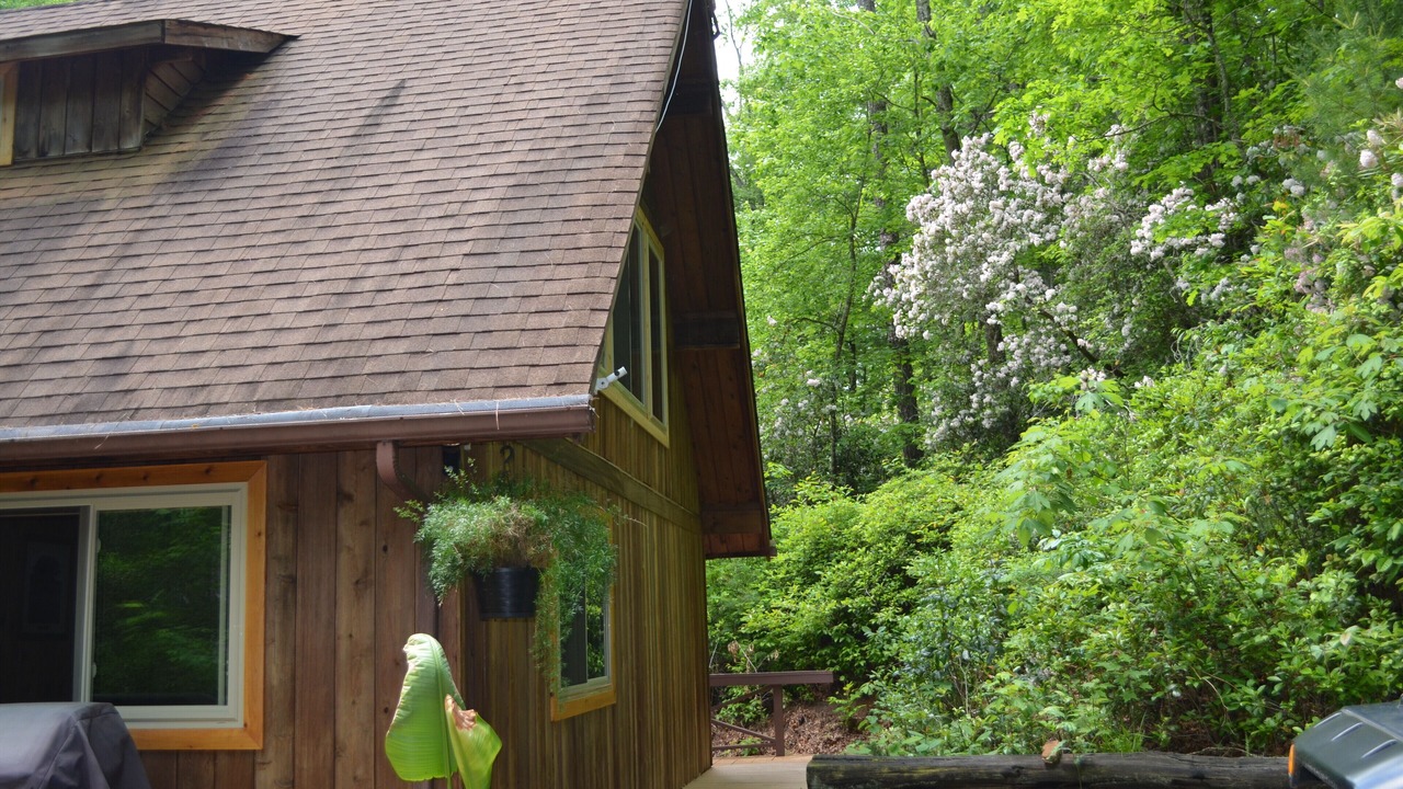 Photo of Outdoor in Cedar Mountain