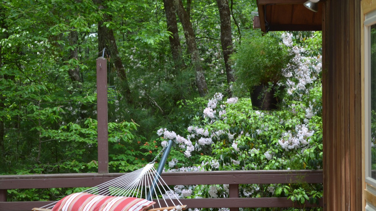 Photo of Outdoor in Cedar Mountain