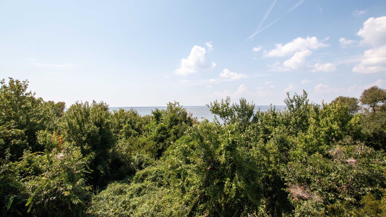 Photo of Outdoor in Monteray Shores