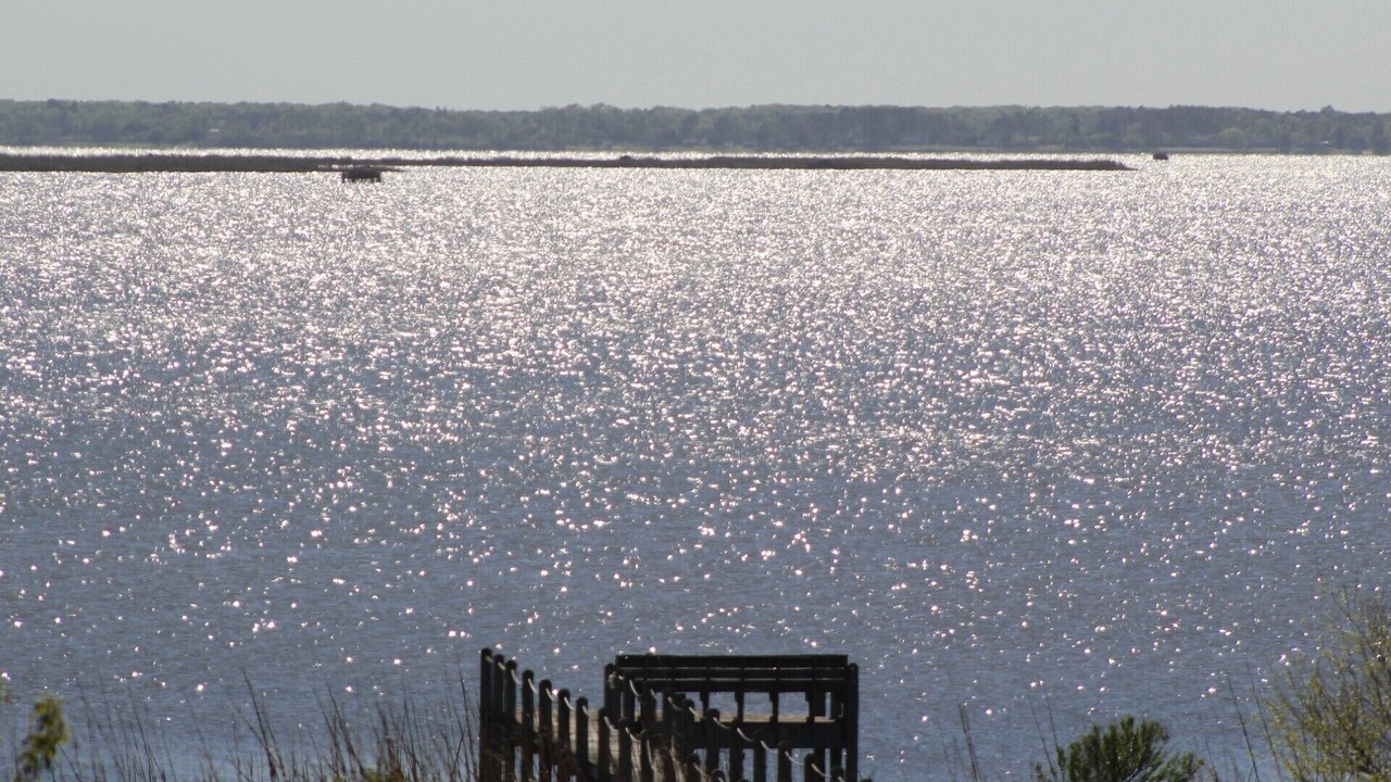 Photo of Others in Monteray Shores