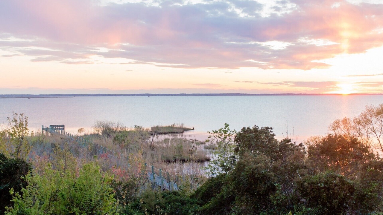 Photo of Others in Monteray Shores