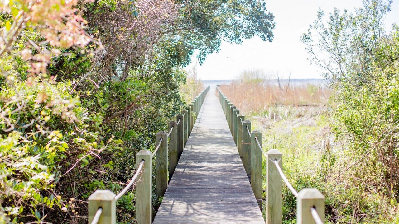 Photo of Outdoor in Monteray Shores