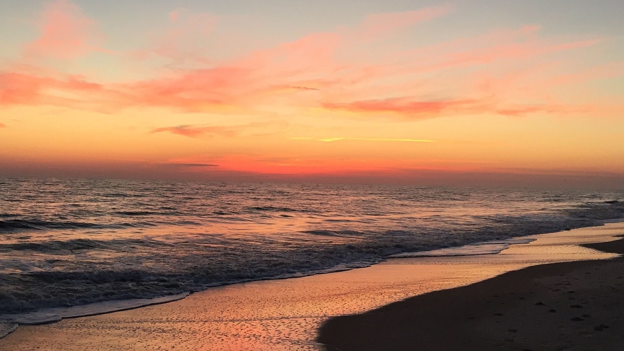 Photo of Others in Long Beach