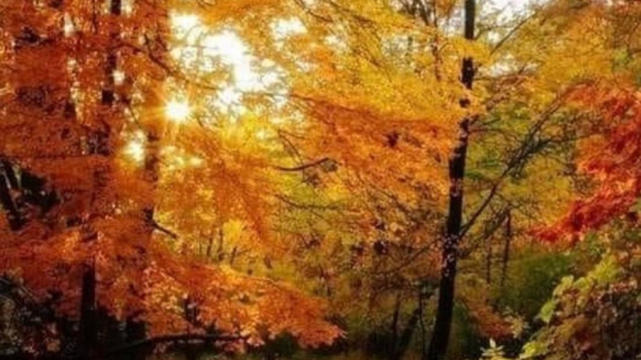 Photo of Others in Lake Lure