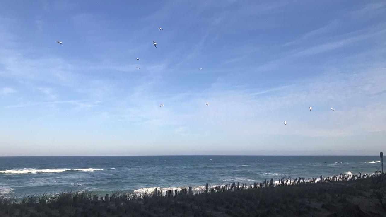 Photo of Others in Kill Devil Hills