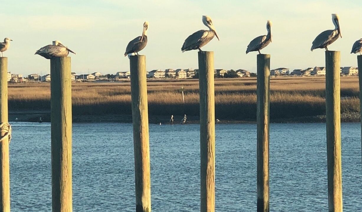 Photo of Others in Wrightsville Beach