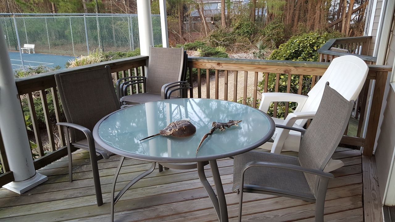 Photo of Outdoor in Corolla Light