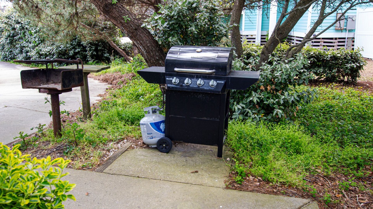 Photo of Outdoor in Duck