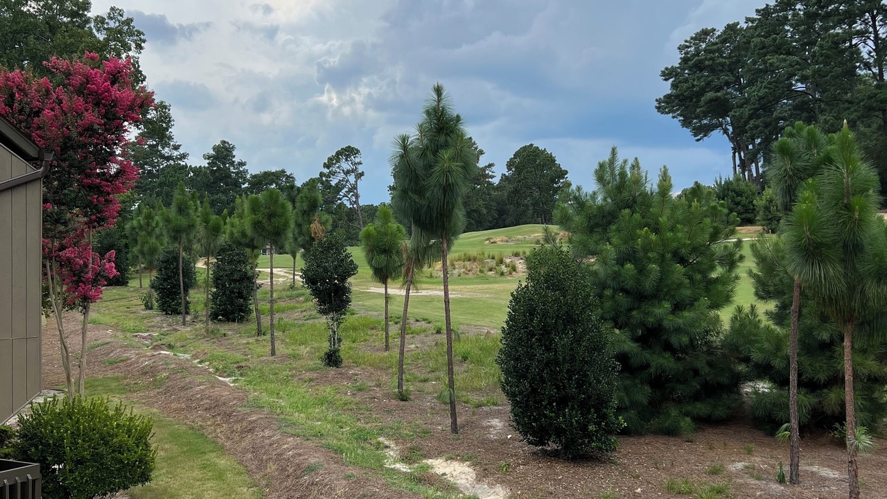 Photo of Outdoor in Pinehurst