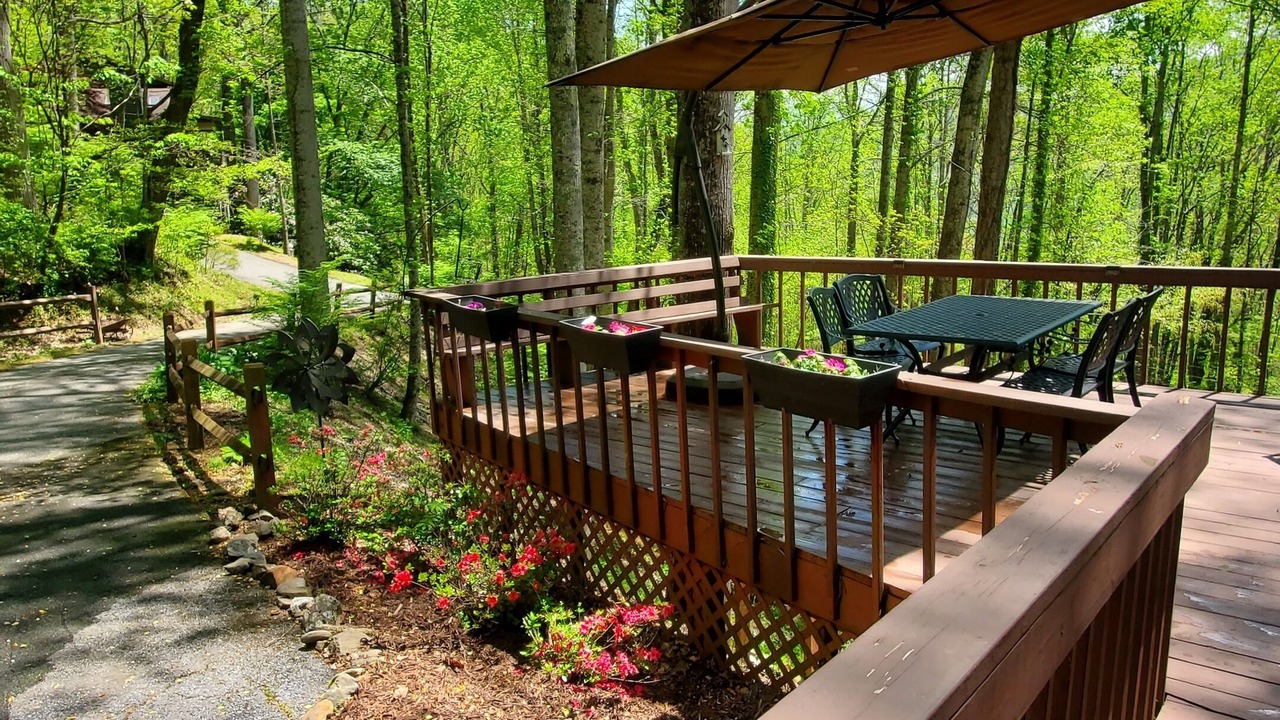 Photo of Outdoor in Maggie Valley