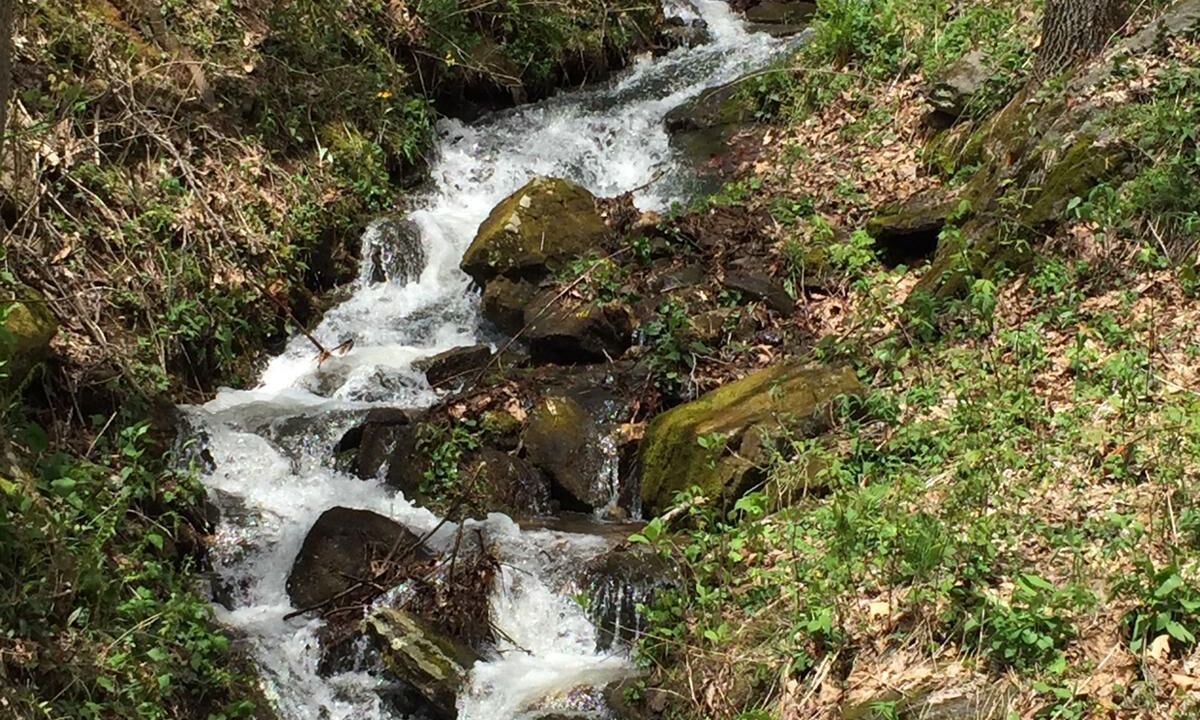 Photo of Others in Maggie Valley