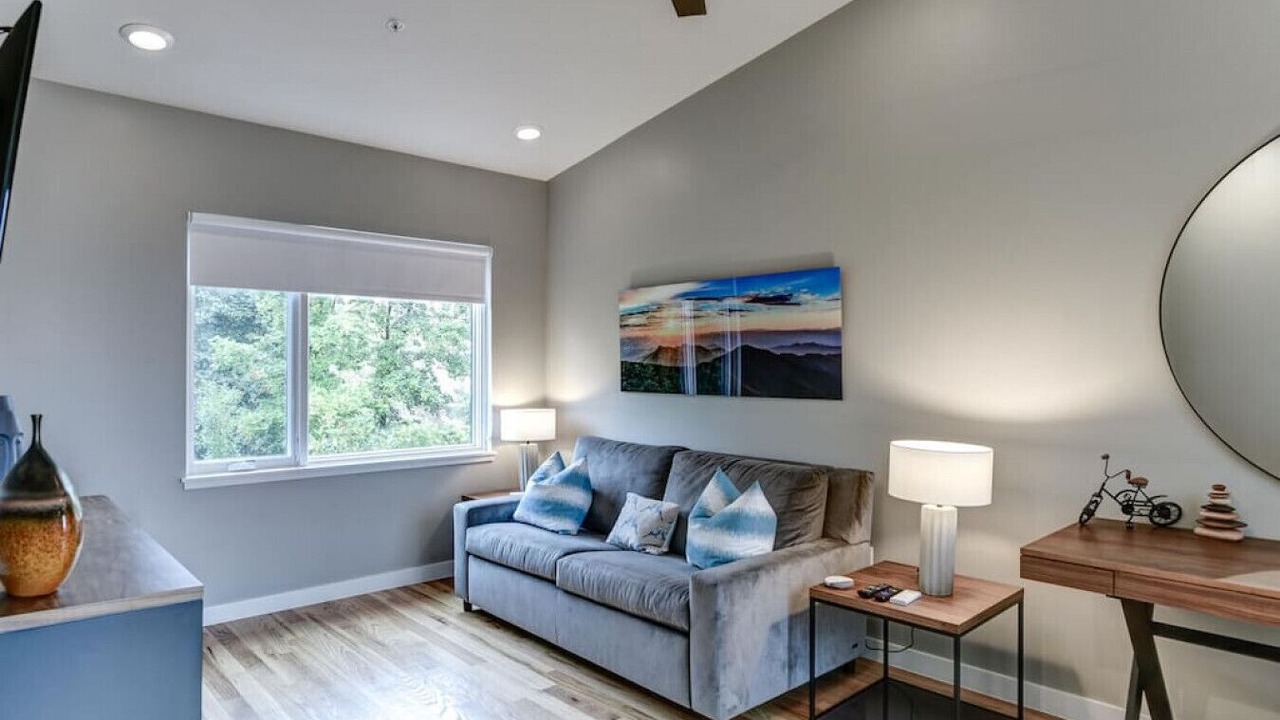 Photo of Livingroom in Asheville
