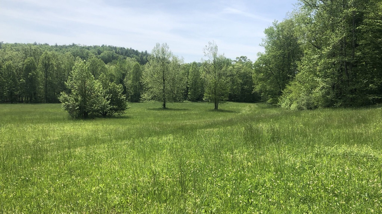 Photo of Outdoor in Vein Mountain