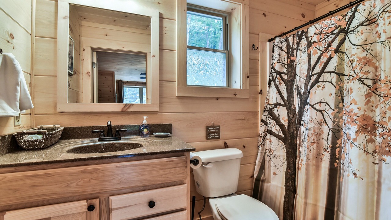 Photo of Bathroom in Black Mountain