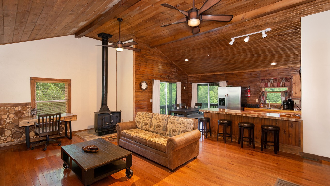 Photo of Livingroom in Sylva