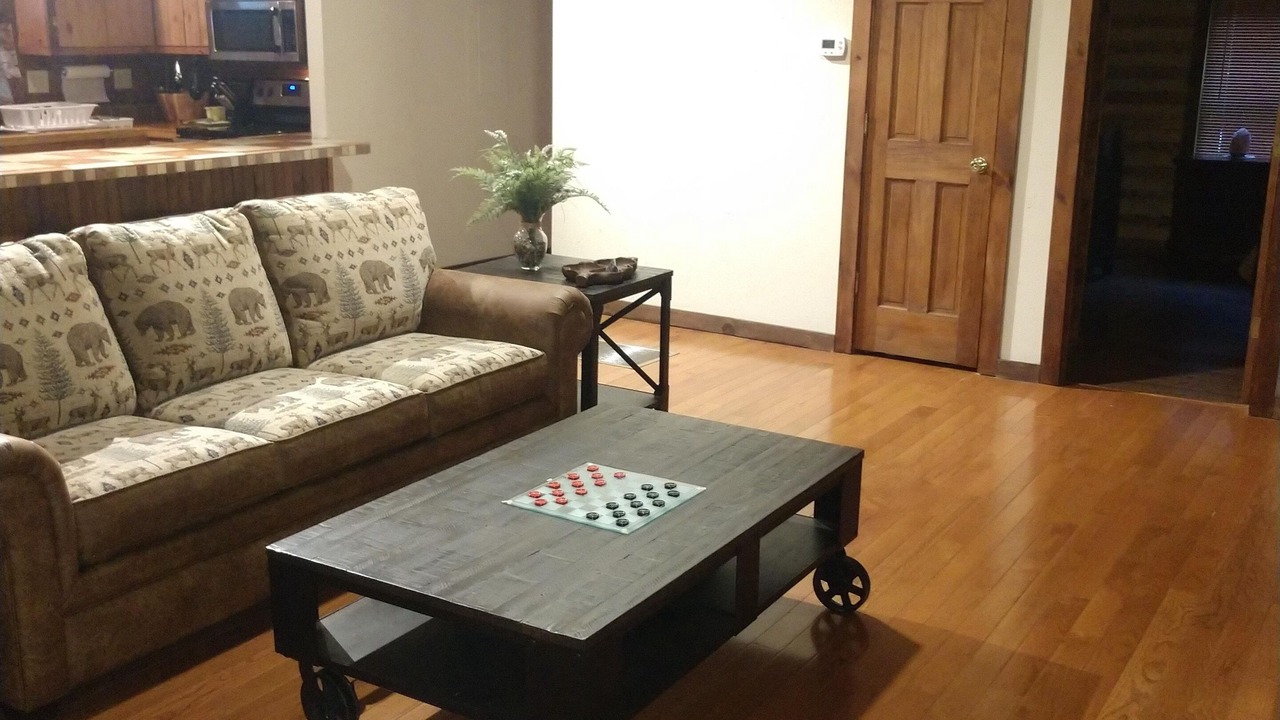 Photo of Livingroom in Sylva