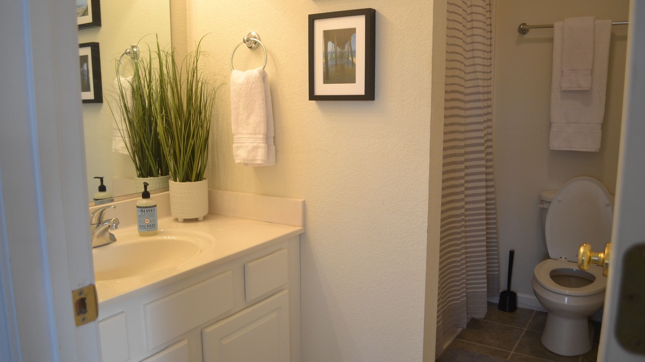 Photo of Bathroom in Colington