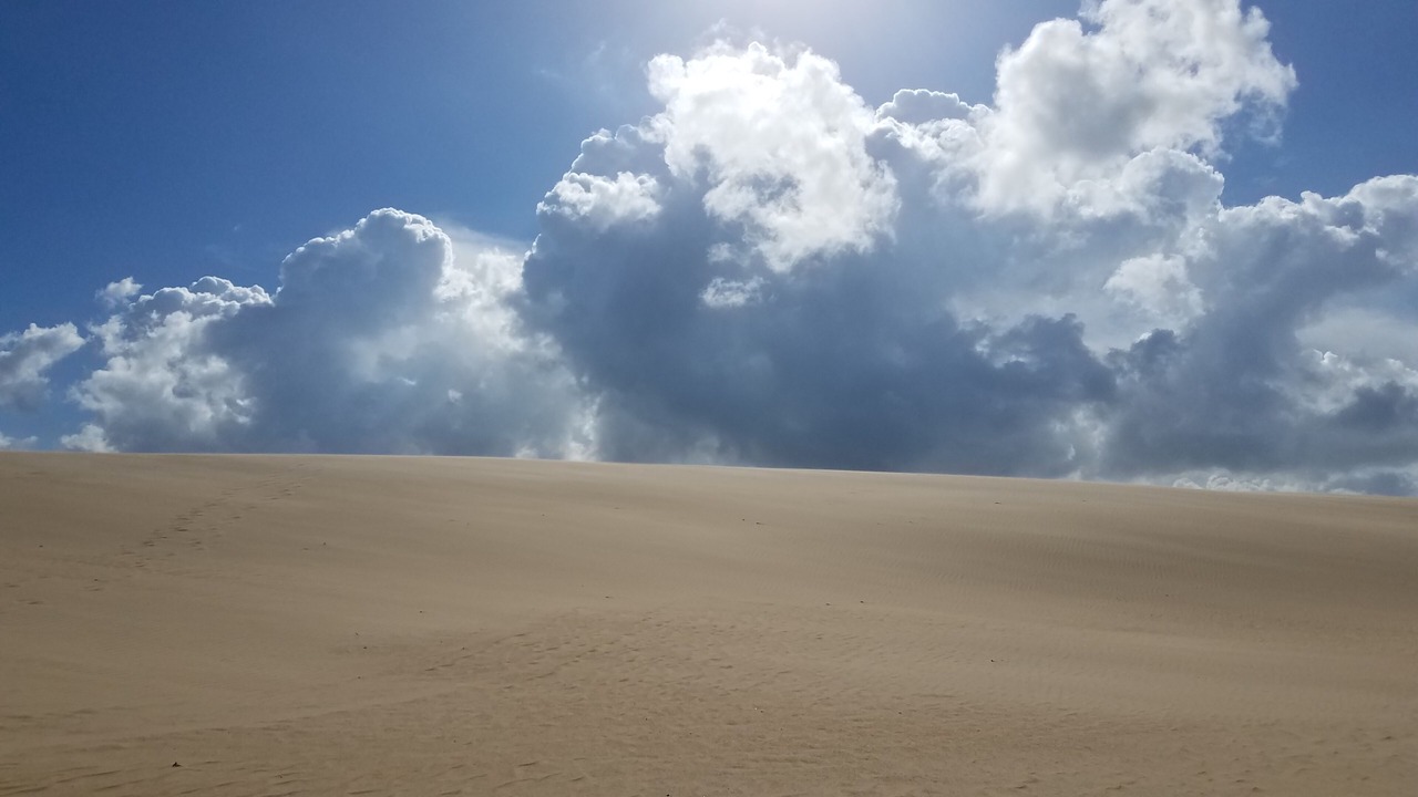 Photo of Others in South Nags Head